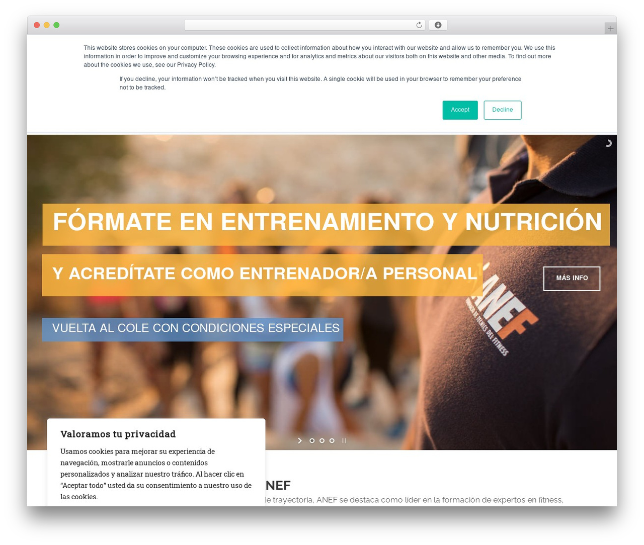 Skilled top WordPress theme - anefead.com