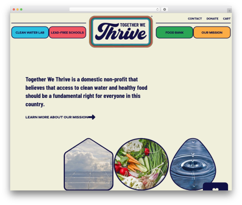 Thrive WordPress theme - togetherwethrive.charity Thrive WordPress theme - togetherwethrive.charity