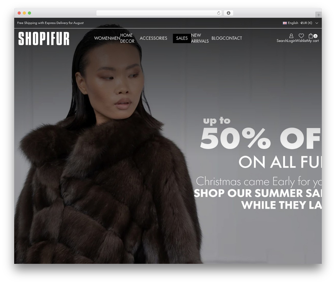 Web Expert - Basic Template WordPress theme - www.shopifur.com
