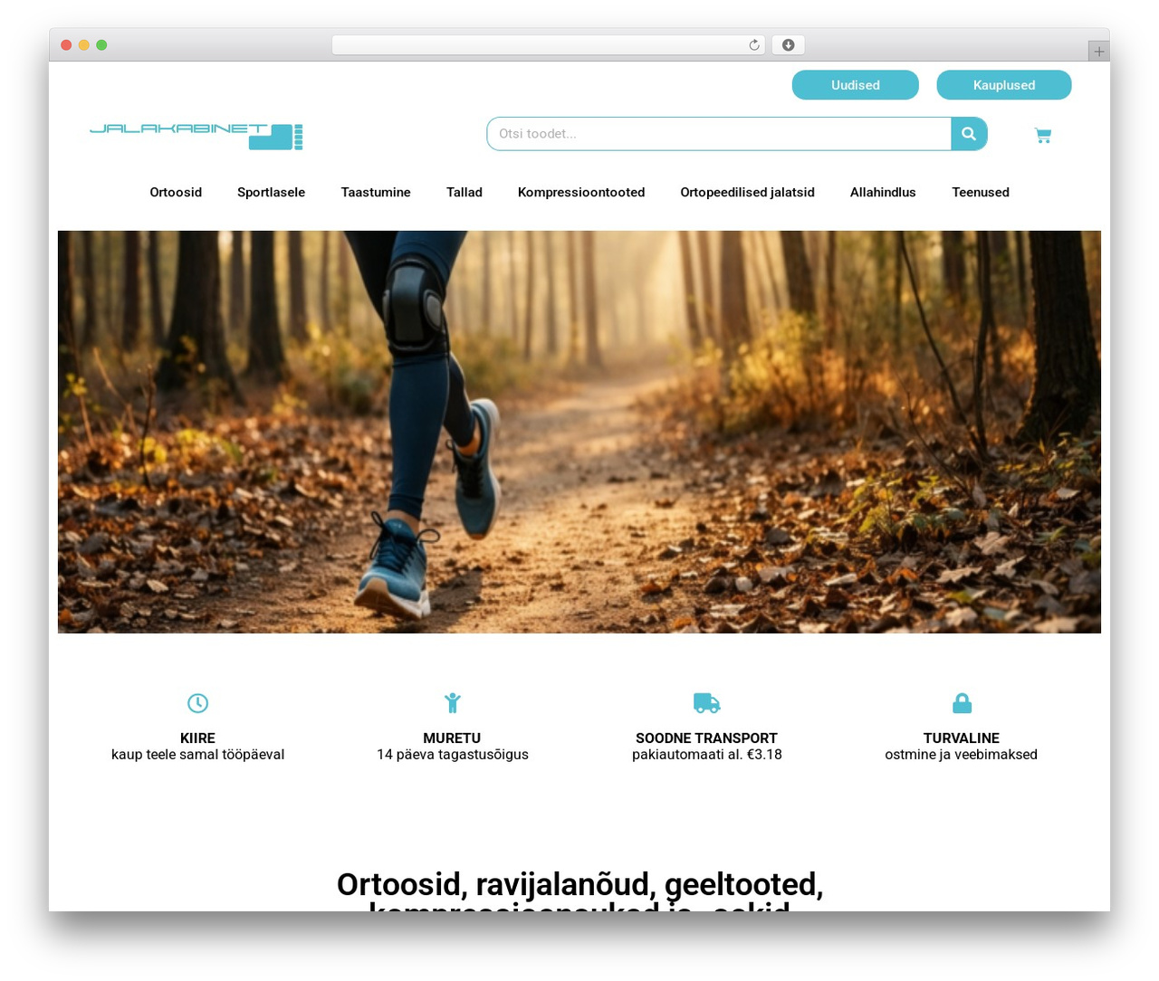 Theme WordPress Hello Elementor - jalakabinet.ee Theme WordPress Hello Elementor - jalakabinet.ee