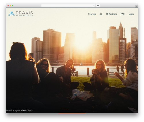 Tin canny learndash reporting WordPress plugin - praxiscet.com