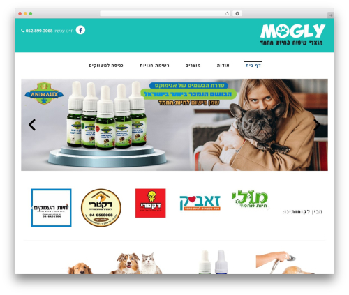 WordPress theme Poza - mogly.co.il