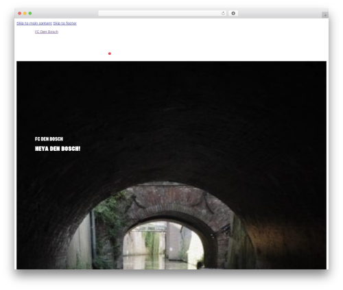Nextbricks WordPress plugin - fcdenbosch.nl