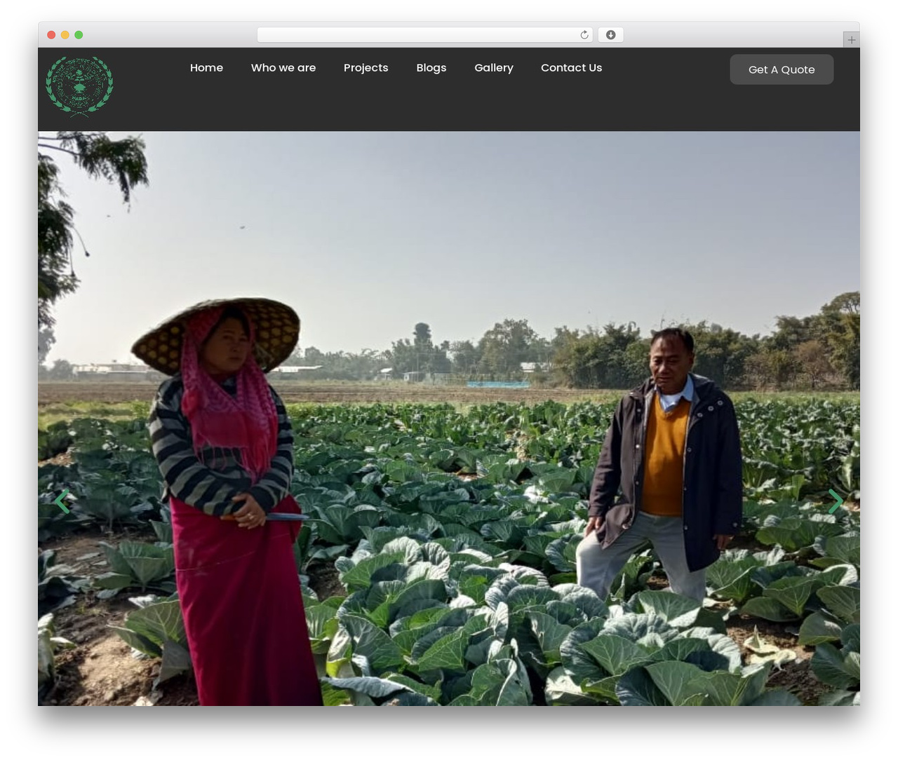 Hello Elementor WordPress theme - prda.org.in