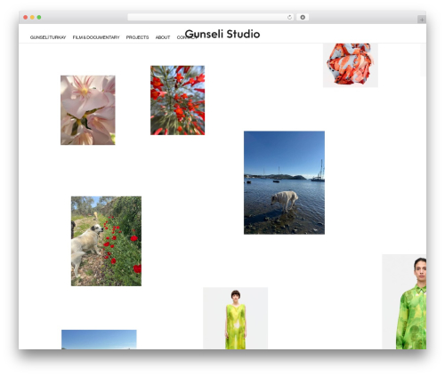 Laytheme scrollslider WordPress plugin - gunselistudio.com