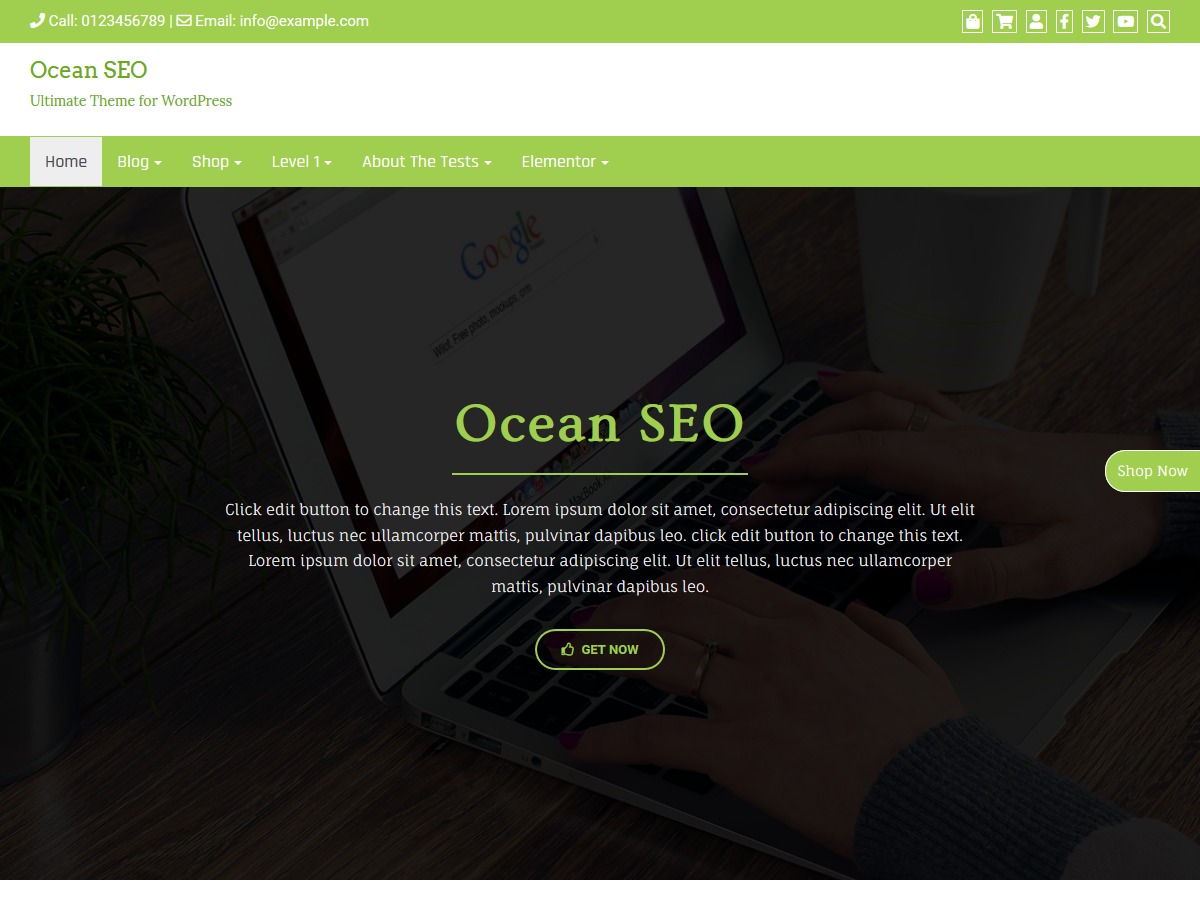 Ocean SEO WordPress ecommerce template