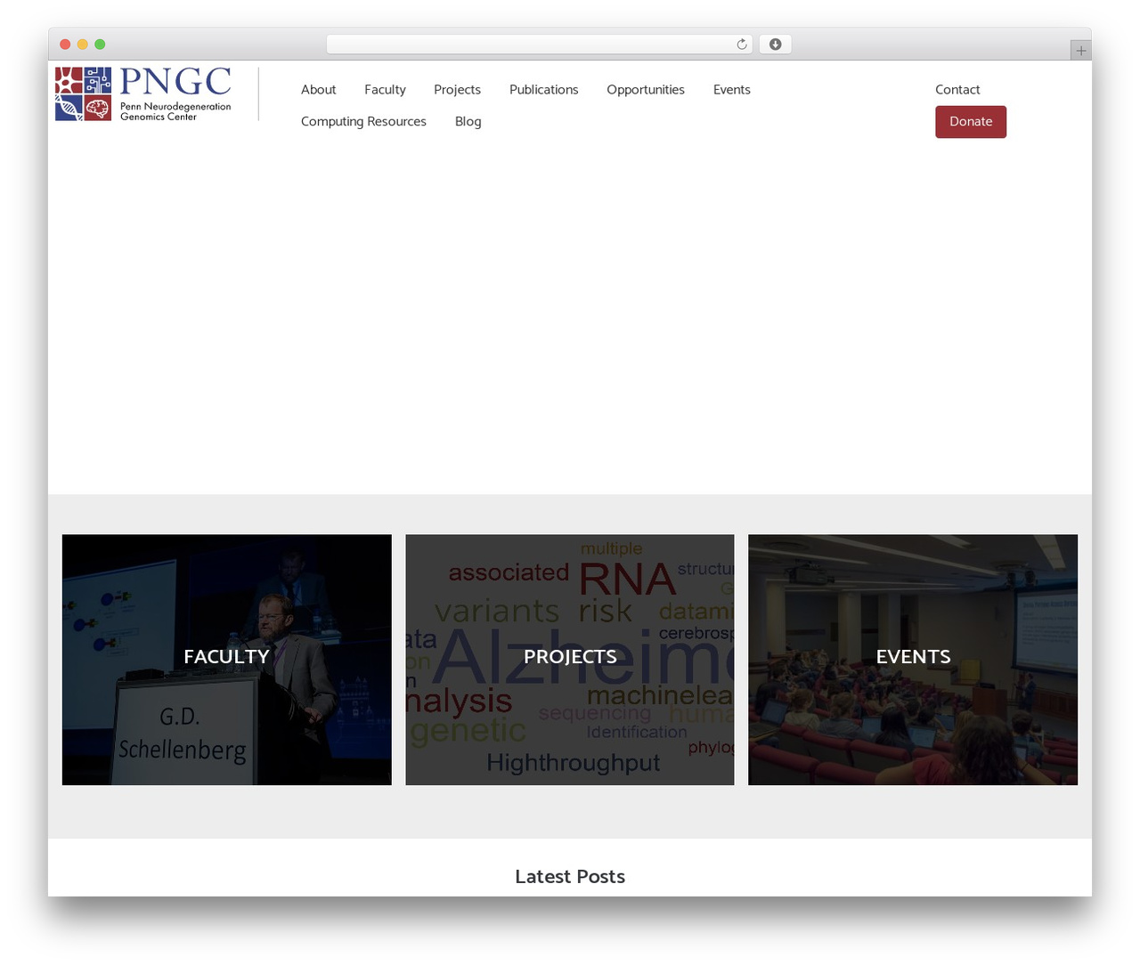 WordPress theme WP Rig - penn-ngc.org