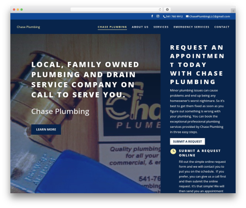 Business profile render WordPress plugin - chaseplumbingnow.com