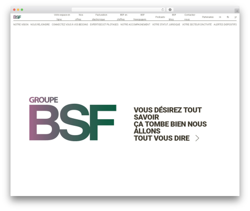 Groupe BSF WordPress theme - groupe-bsf.fr