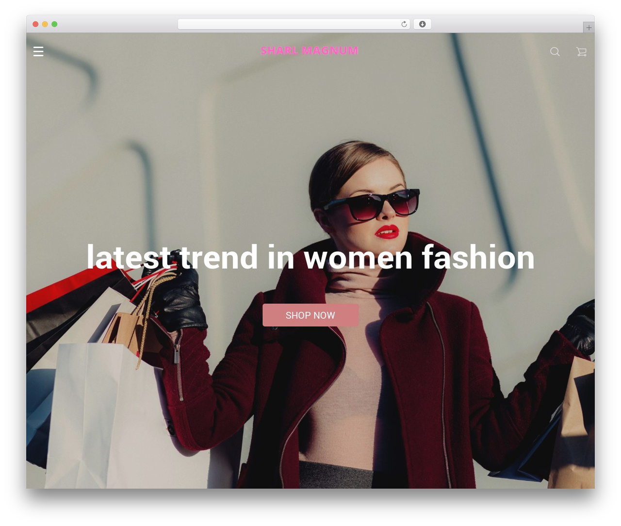 Rubens theme WordPress - sharlmagnum.com