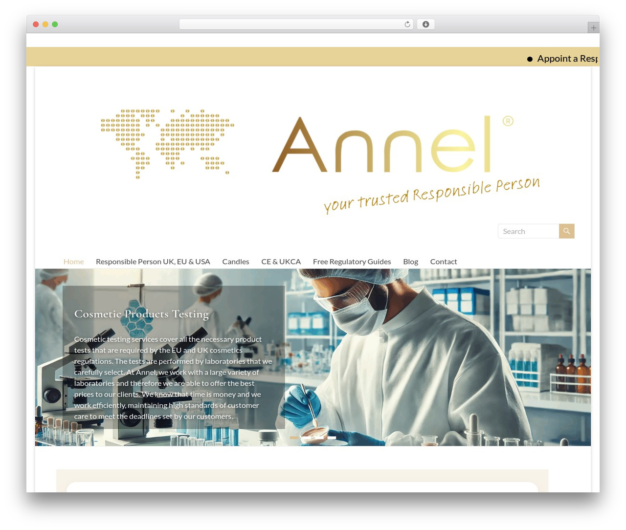 Spacious WordPress theme - annelltd.com