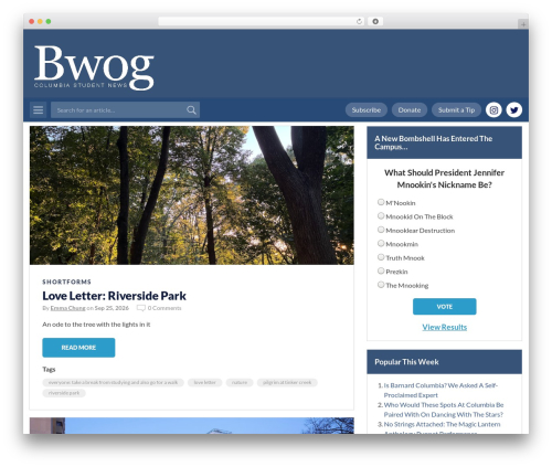 Post Timeline (post-timeline) free WordPress plugin - bwog.com Post Timeline (post-timeline) free WordPress plugin - bwog.com