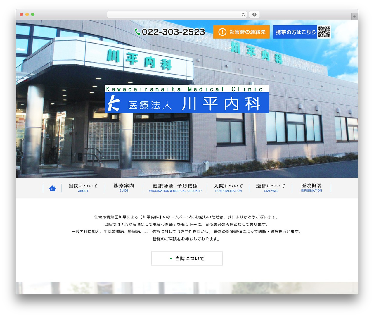 Themify Basic WordPress theme design - kawadairanaika.com Themify Basic WordPress theme design - kawadairanaika.com
