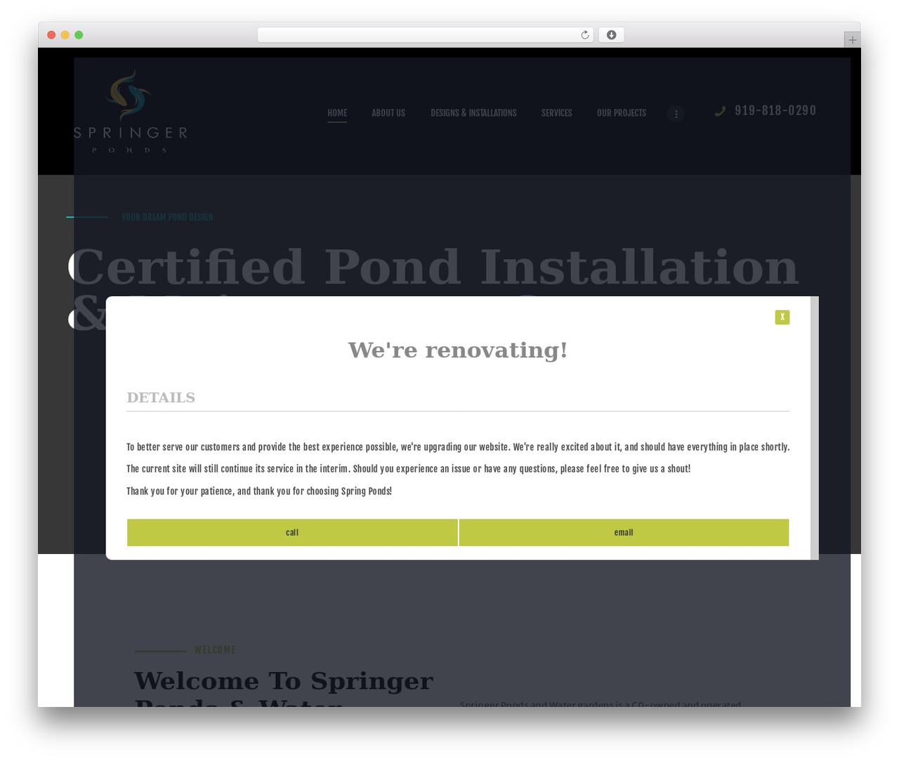 Bassein WordPress theme - springerponds.com