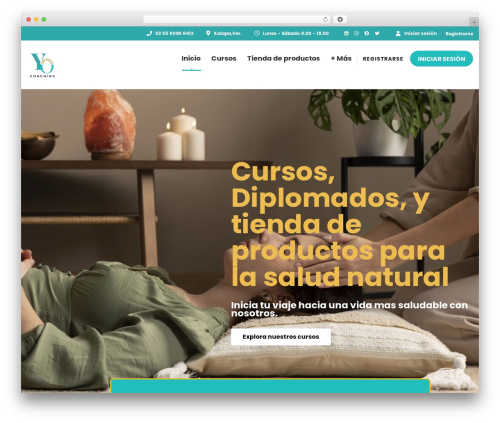 Masterstudy elementor widgets WordPress plugin - yosoysaludcoaching.com