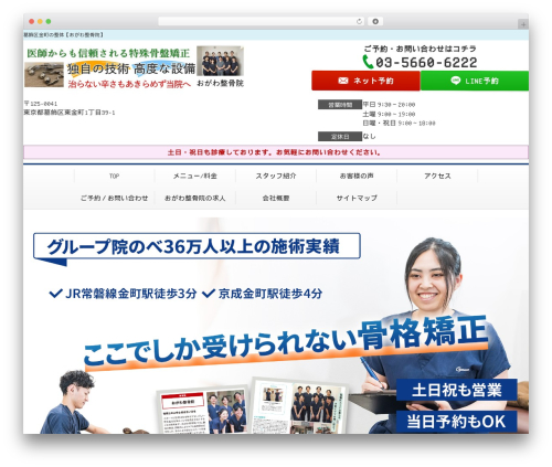 Selfull WordPress theme - ogawaseikotsuin.com
