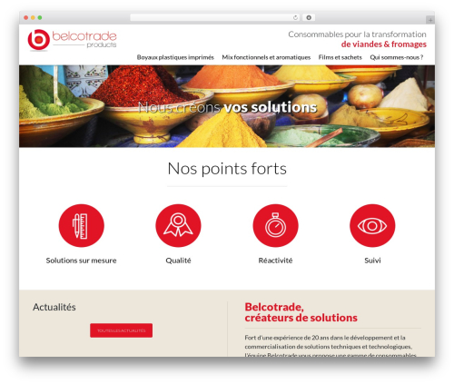 Theme WordPress B4ST - belcotrade.fr