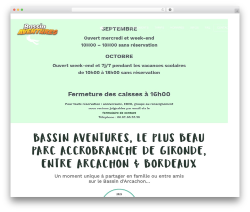 Th widget pack WordPress plugin - bassinaventures.com