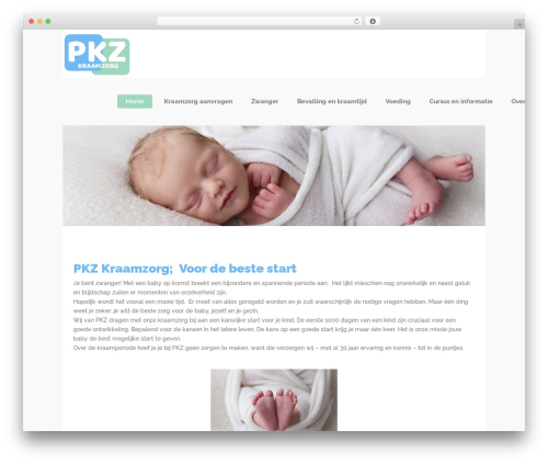 Select core WordPress plugin - pkzkraamzorg.nl