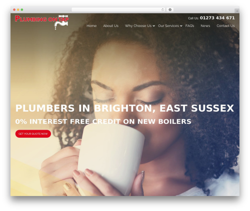 Dylan WP WordPress theme - brighton.plumbing