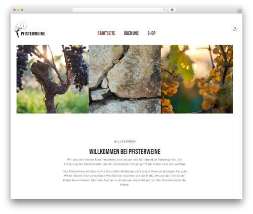 Visual elements WordPress plugin - pfisterweine.ch