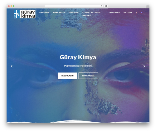 Exqute best WordPress theme - guraykimya.com