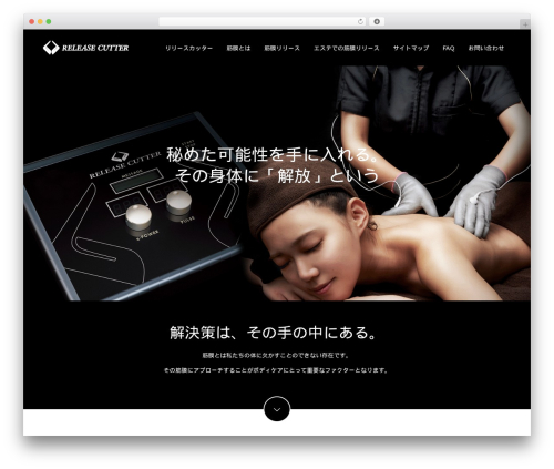 Switch WordPress theme - kinmaku-release.com