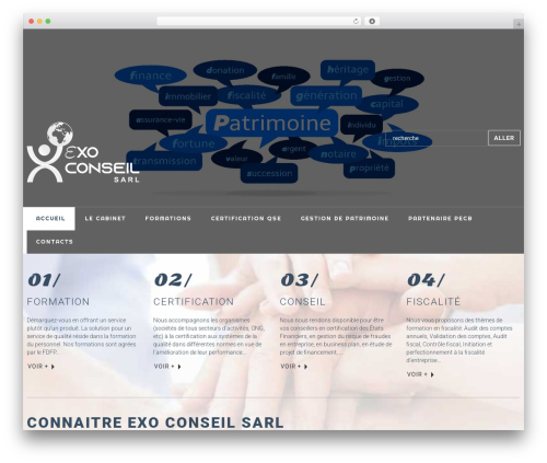 Theme WordPress cherry - exo-conseil.net