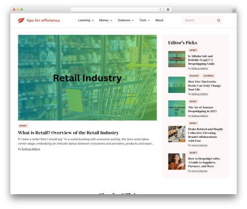 Tips For Efficiency best WordPress theme - tipsforefficiency.com