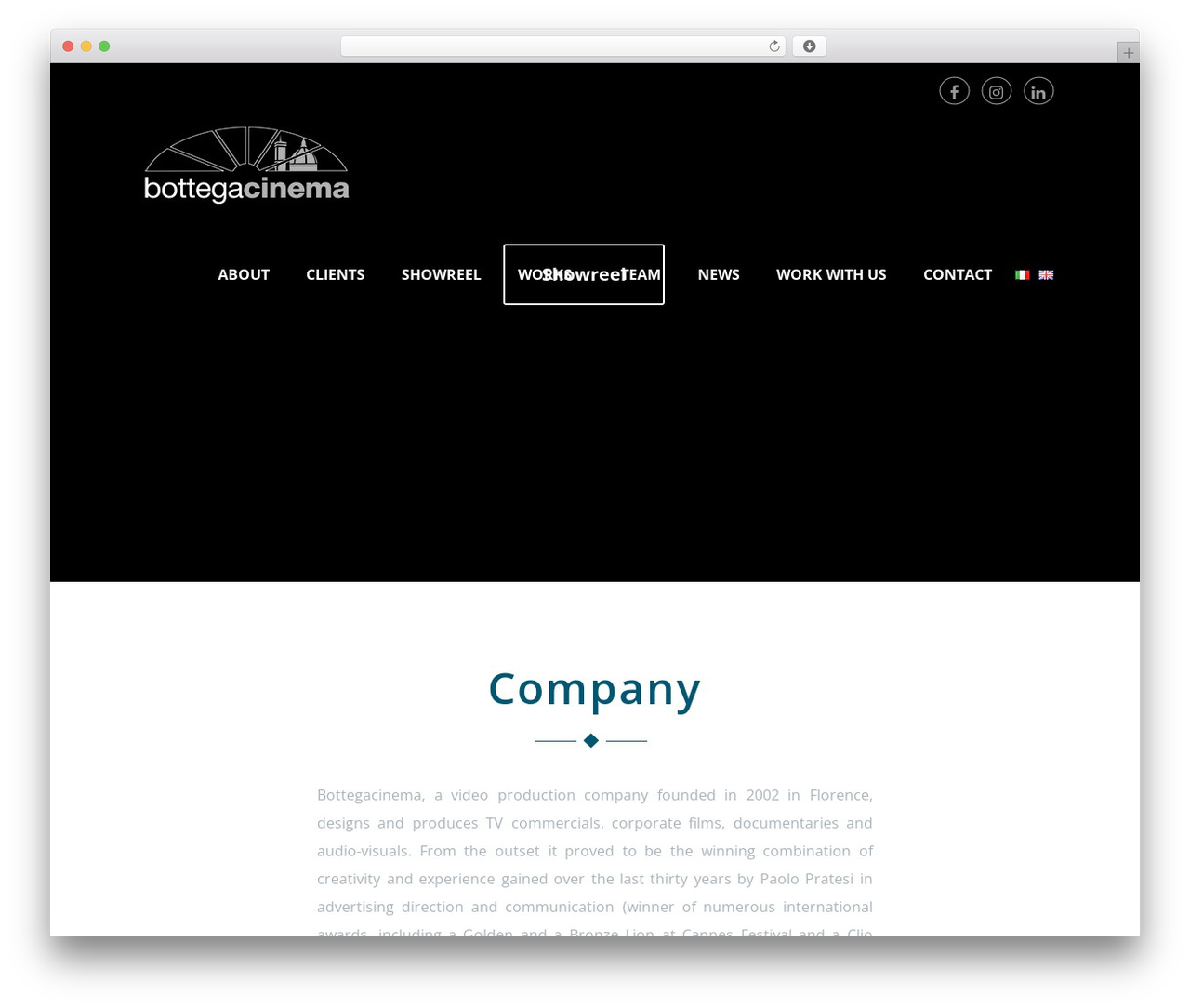 WordPress theme Optimizer Child - bottegacinema.com