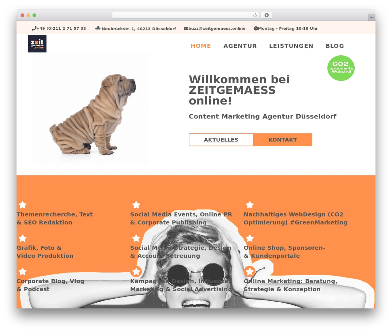 Hello Elementor theme WordPress - zeitgemaess.online