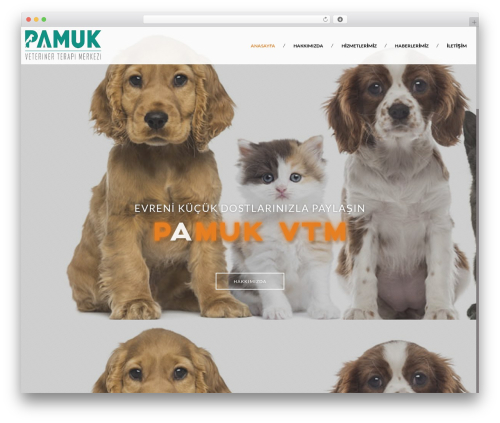 Hera theme WordPress - pamukvtm.com Hera theme WordPress - pamukvtm.com