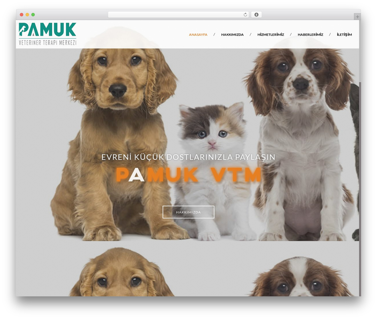 Hera theme WordPress - pamukvtm.com Hera theme WordPress - pamukvtm.com