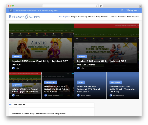 Theme WordPress Geoit - betaverajadres.com