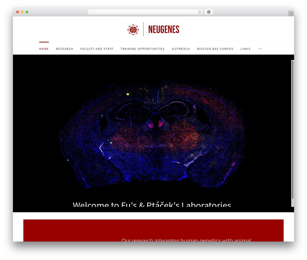 XTRA WordPress theme - neugenes.org XTRA WordPress theme - neugenes.org