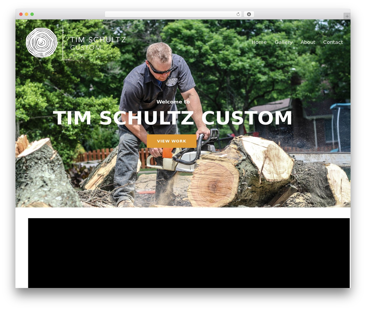 Electo WordPress theme - timschultzcustom.com