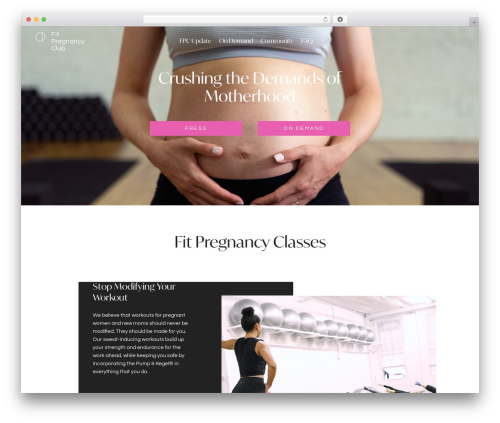 WP Instant Feeds (wp-my-instagram) free WordPress plugin - fitpregnancyclub.com