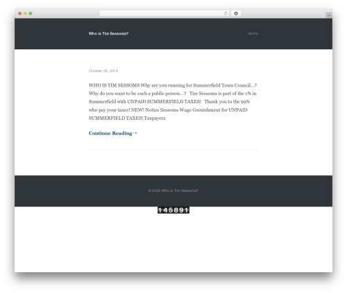 Wp hit counter WordPress plugin - whoistimsessoms.com