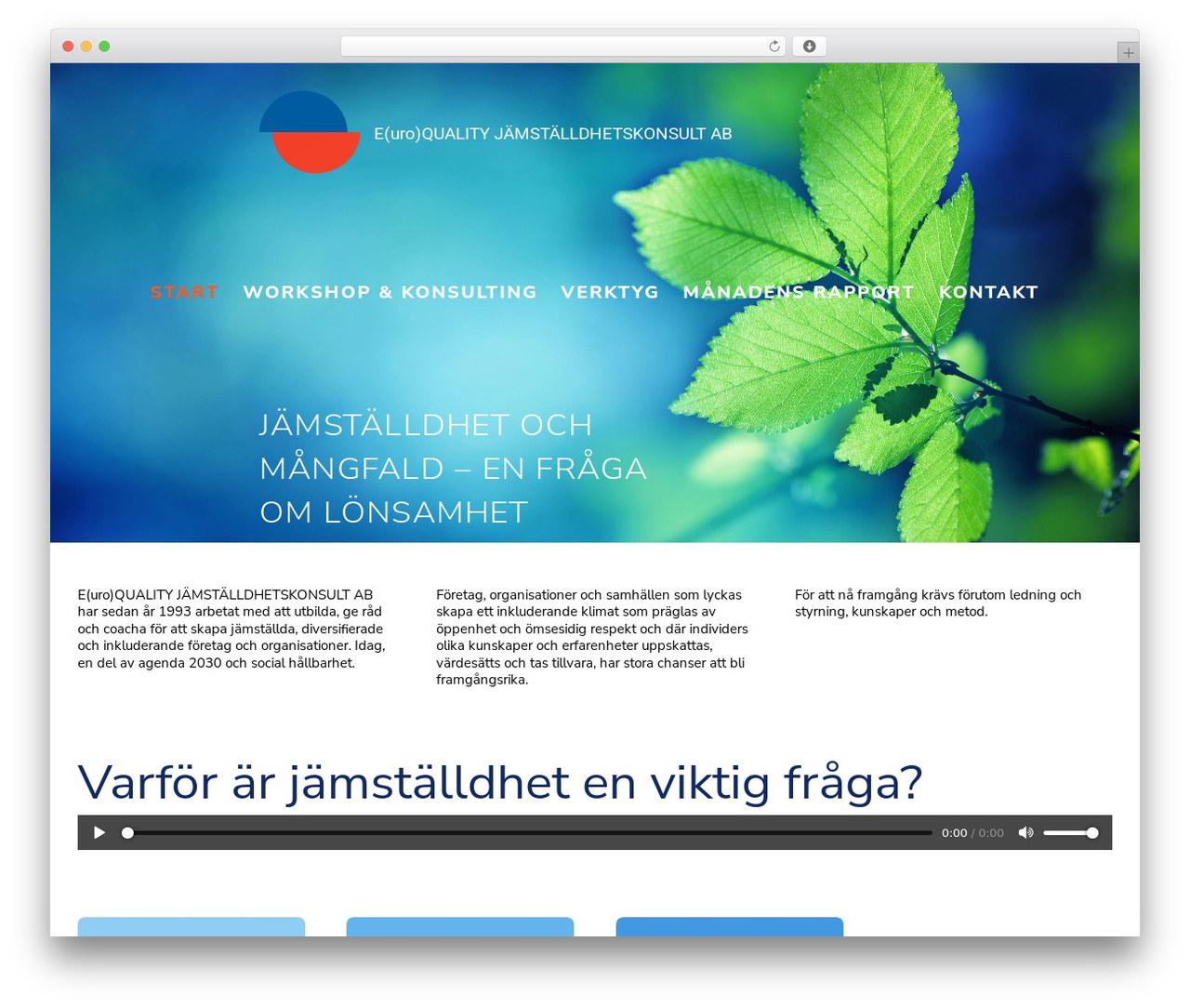Avada theme WordPress - euroquality.se