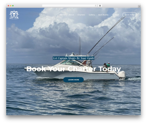 Easy Social Media Widget (my-social-widget) free WordPress plugin - captainbigfish.com