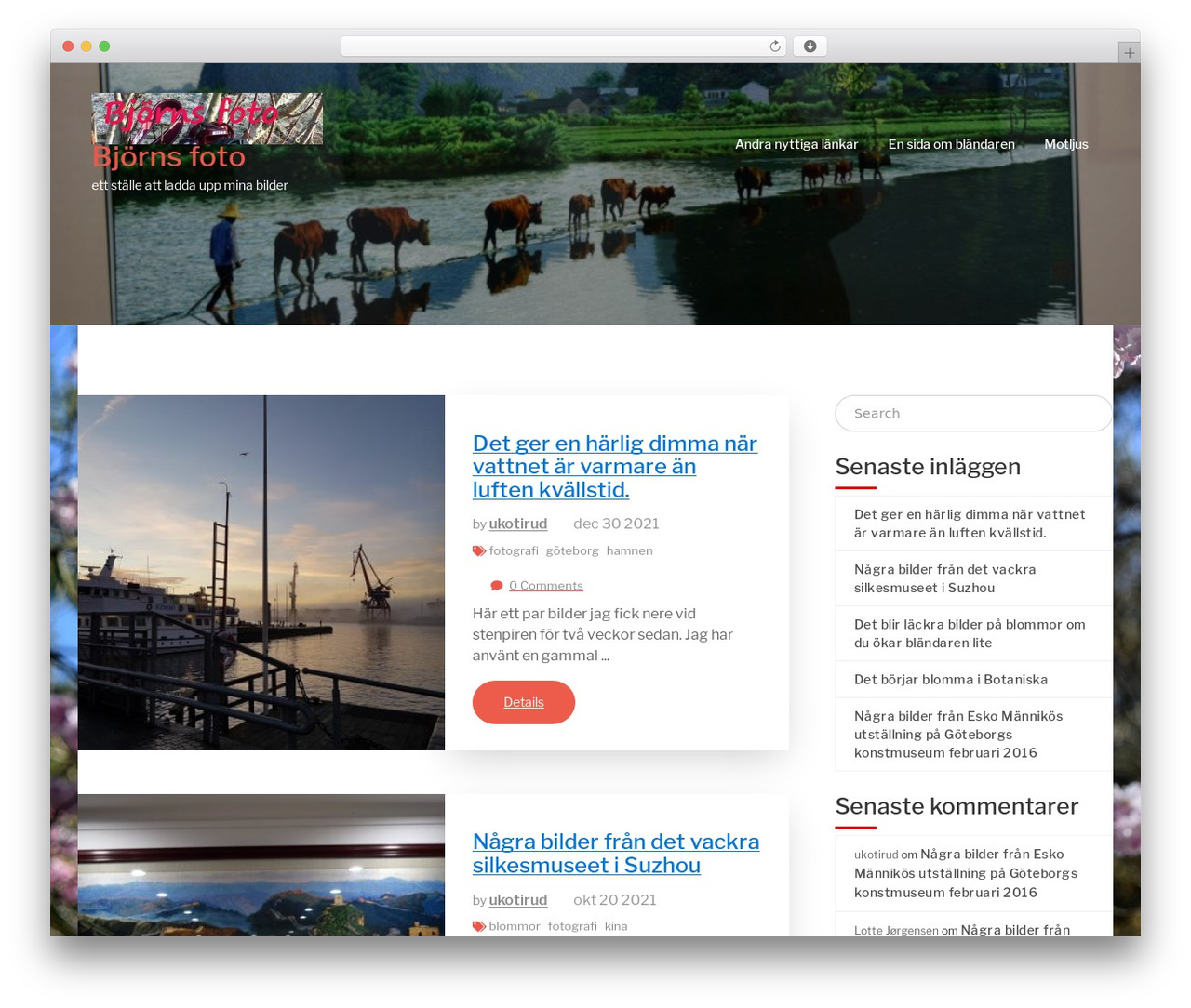 Elemento WordPress theme - bjornsfoto.se