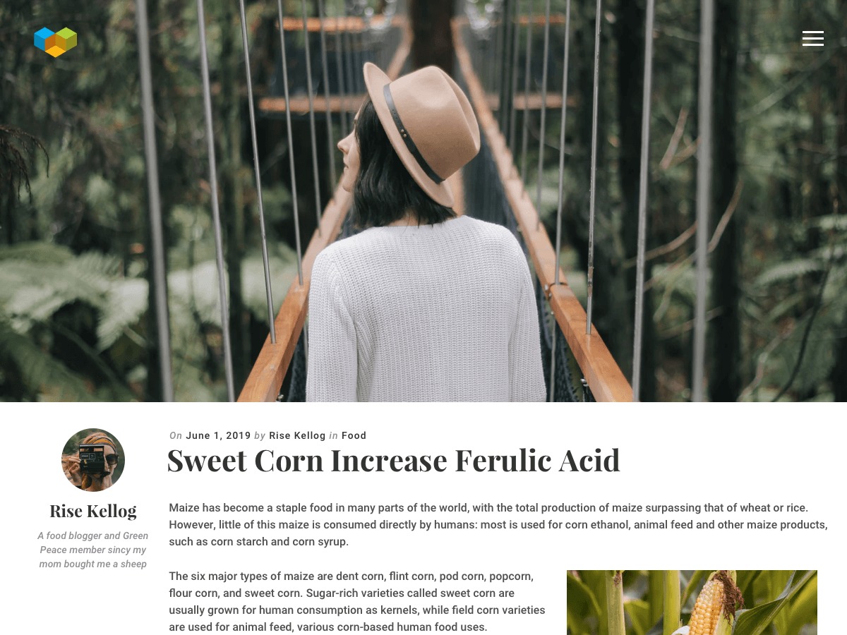 Theme WordPress Bofingers by The Visual Composer Team