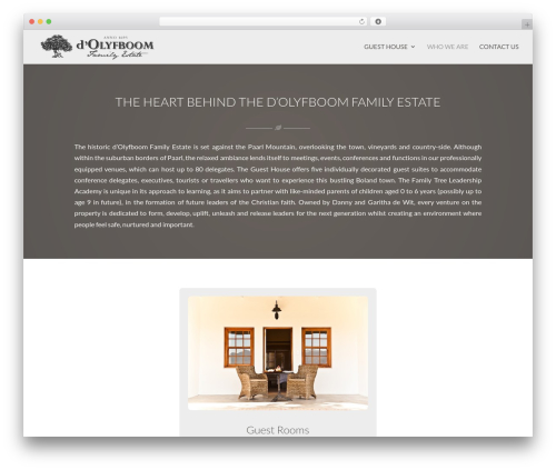 WordPress theme Divi - dolyfboom.co.za