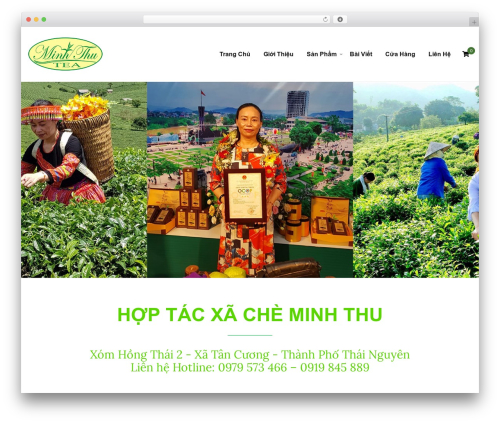 AZTheme WordPress theme - traminhthu.com
