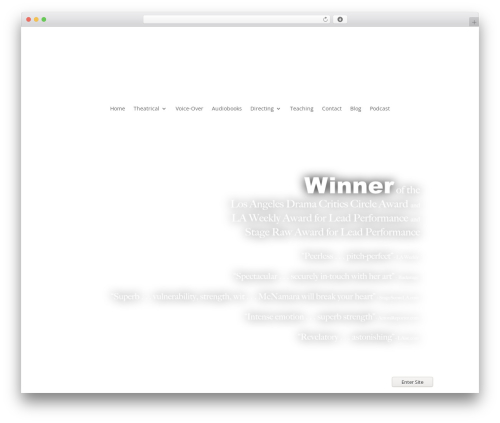 Videogallery plus player pro WordPress plugin - nanmcnamara.com