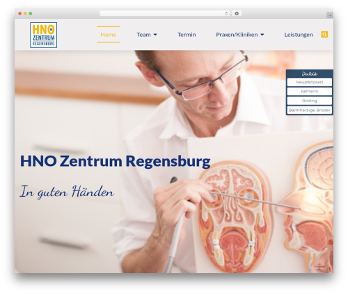 Draw attention pro WordPress plugin - hno-zentrum-regensburg.de