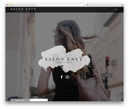 Accesspress social icons pro WordPress plugin - salonenvychicago.com