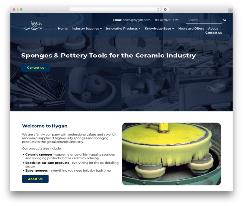 WordPress theme Plinkfizz WordPress Theme - hygan.com