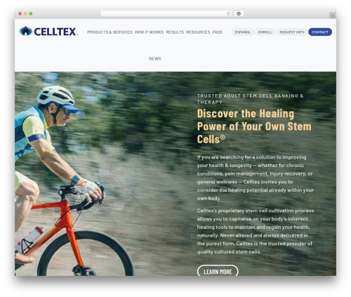 Theme WordPress Theme Base - celltexbank.com