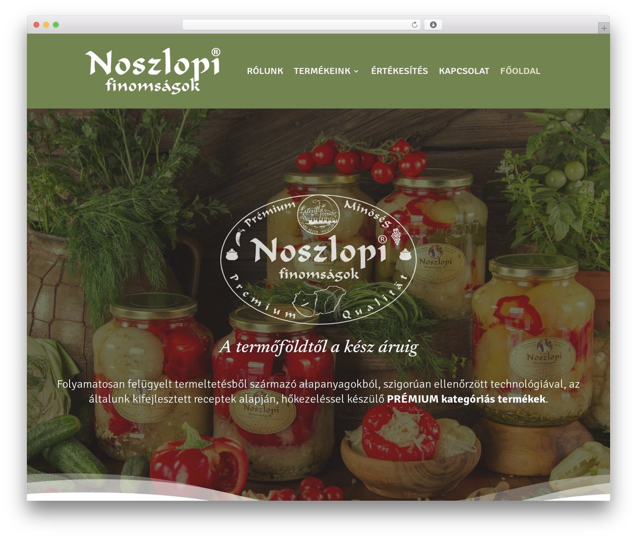 WordPress theme Divi - n-finomsagok.hu